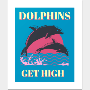 Dolphins Get High Animal Facts Posters and Art